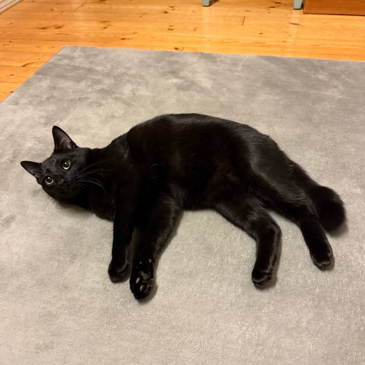 3bbaaefa 8271 4e4e 982e 800c03b5156d 1770329098745