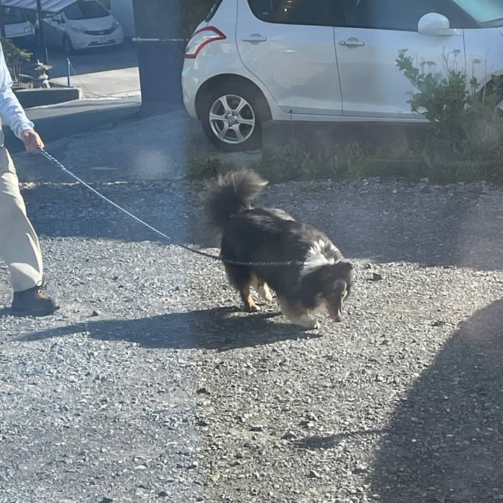 3bbab8f5 a573 42cd a93f 80ce58a9afab 1620770479708