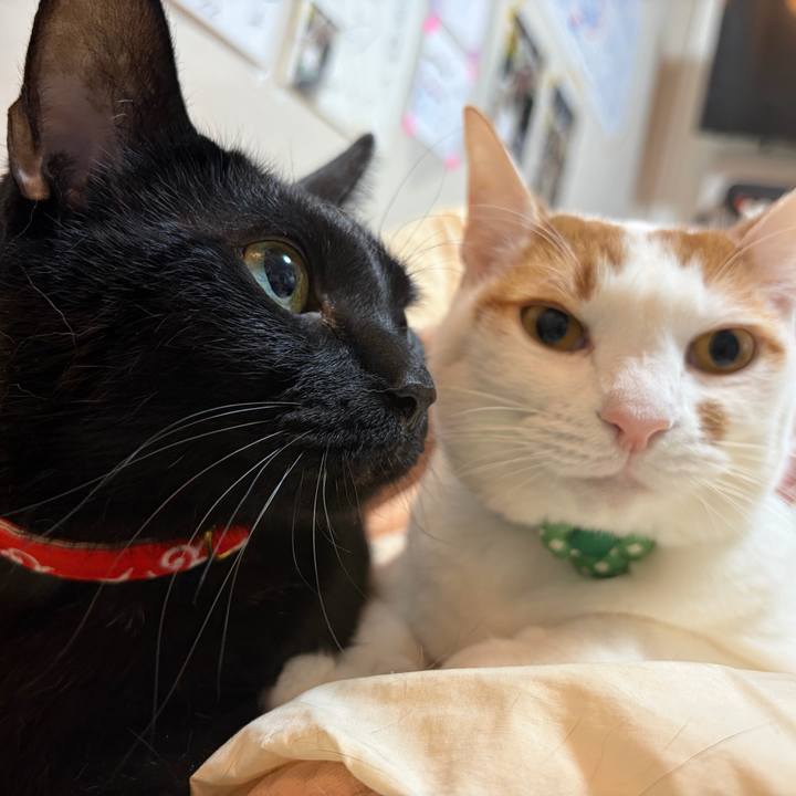 3bbb110b 628e 4fc4 af42 10699e853949 1772369263346