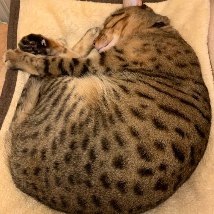 3bbb5228 f603 4ffd b665 ea609f488e95 1550532402614