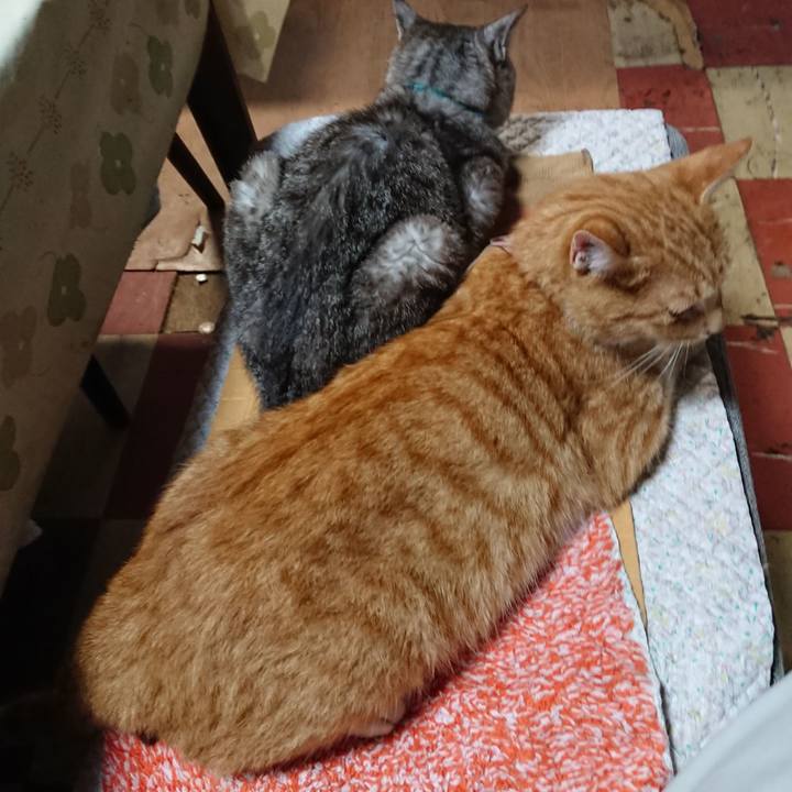 3bbb7afb 90e2 46a4 9c2b fa4cd99f48eb 1567547240321