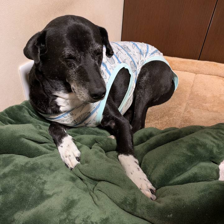 3bbb880b 7103 43b9 abeb 933a0410f224 1767736299512