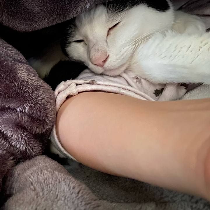 3bbc544a 820b 4e33 bf8f 4acbe91b2124 1678488823766