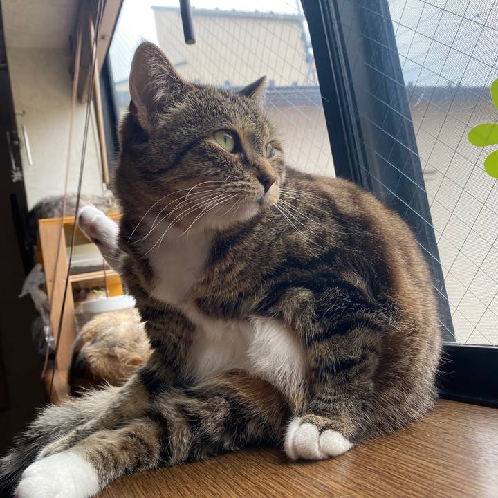 3bbc5cd5 ede4 4806 a97a 84e1dc377955 1590461496081