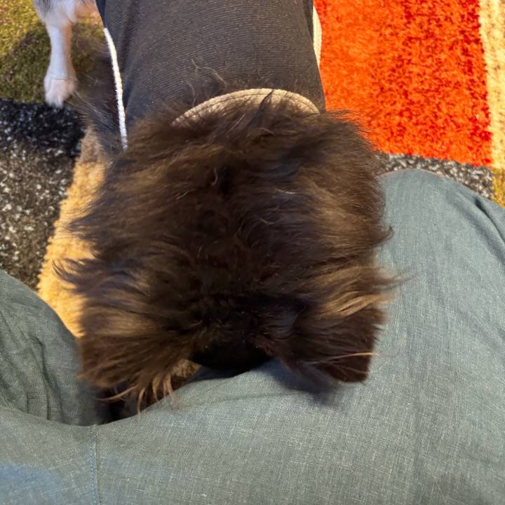 3bbc6848 fe65 4546 8e21 20d2533ff1da 1748191410661