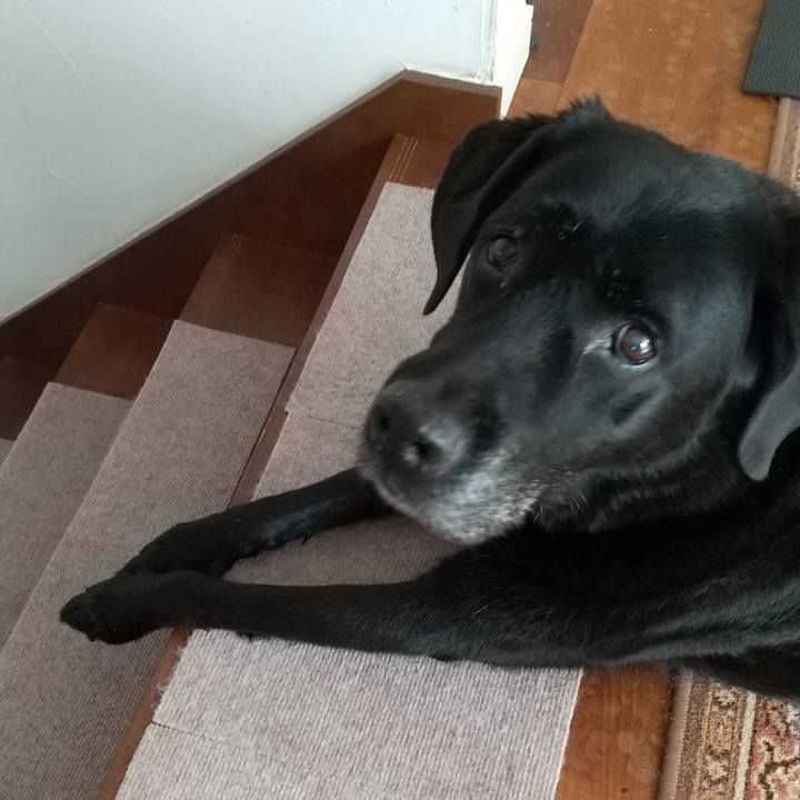 3bbc7f16 75f4 4401 9a6f c22d0844fe2a 1691804574357