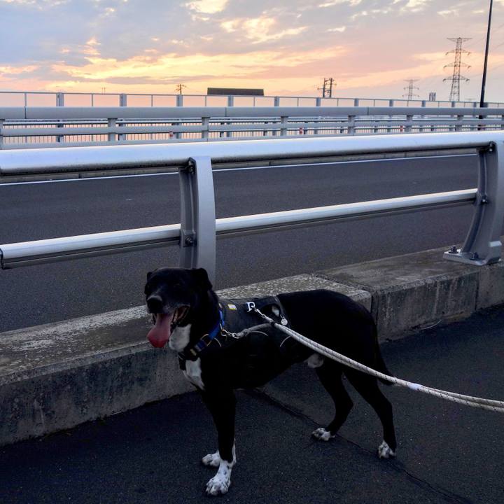 3bbc8403 99f0 4670 a72d a5f0a3abee3e 1655636703128