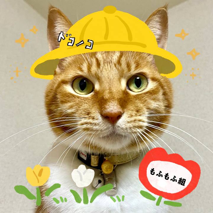 3bbc8ca9 011f 4b47 9750 19b119b7bb3c 1712224972943