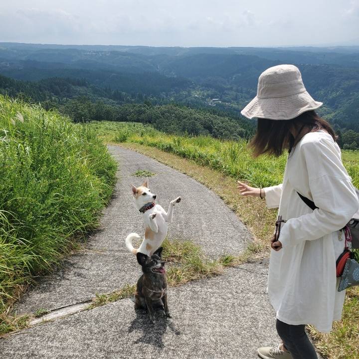 3bbcb753 2643 45a6 aaa9 15a7ea069317 1599355454918