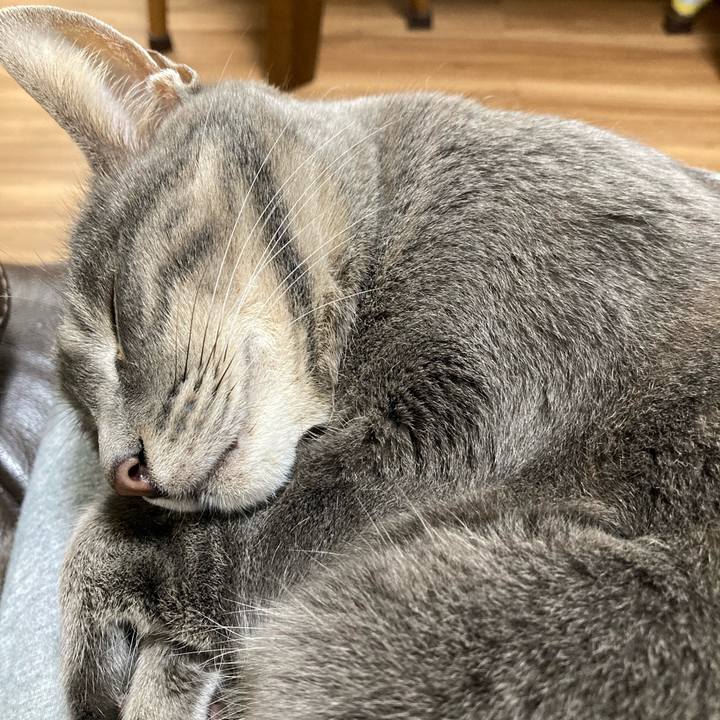 3bbcbee1 8855 483b b334 1c06dc38ce66 1708426761839