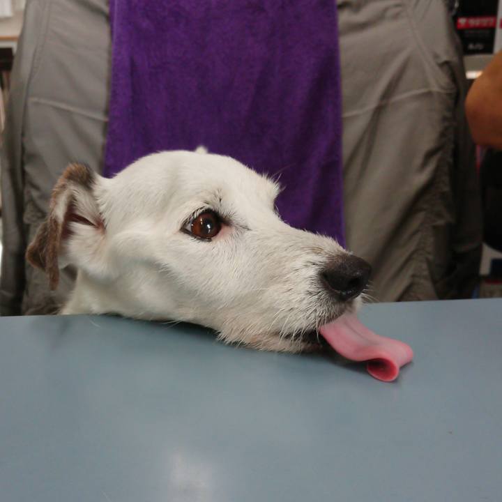 3bbcccfc 003f 4e3e 9ae3 8ff3b2673595 1602374764452