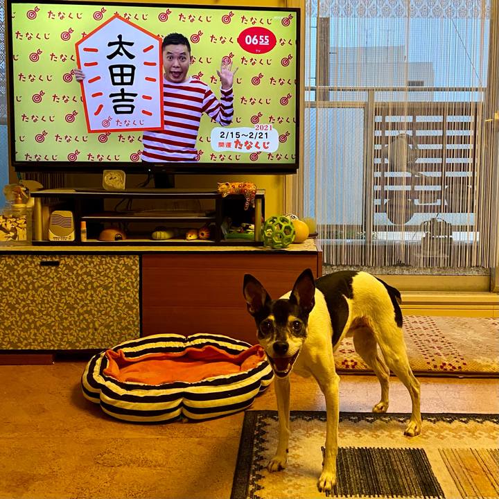 3bbcd49a 4f0c 430d 930d e2c24b33507c 1613340452754