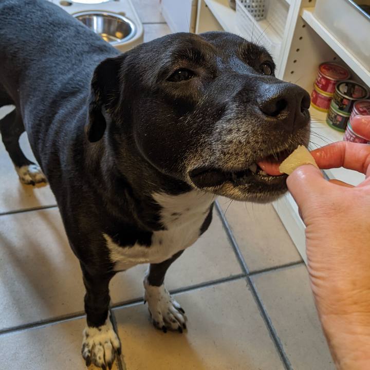 3bbce209 f9b4 4b06 8903 cfcc5f6d9c36 1691716934541