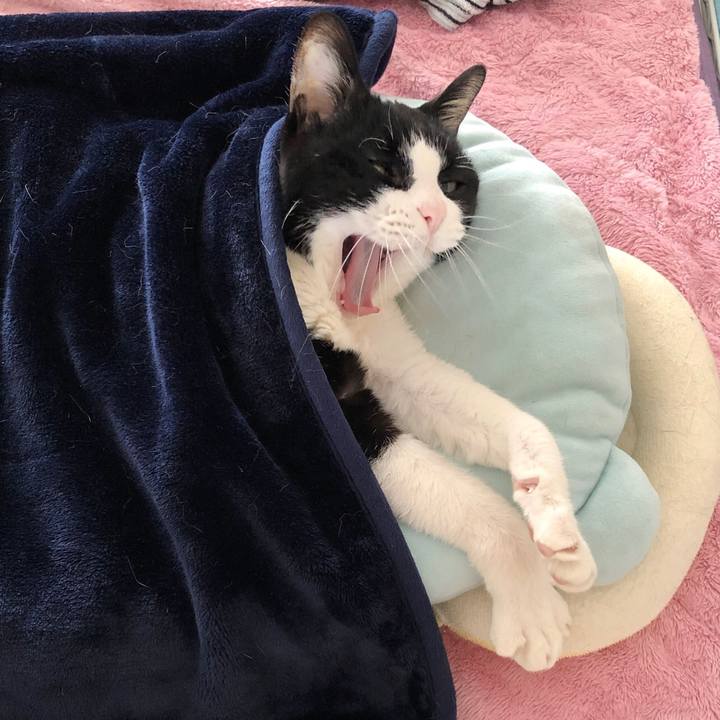 3bbcebcb e597 43a9 ba34 18cccd4d932c 1545189420722