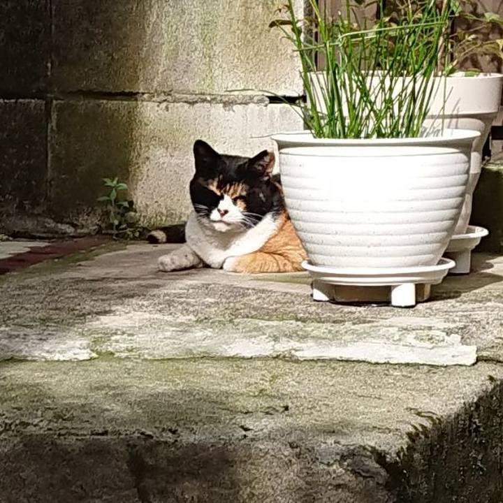 3bbceded cb0b 4fc8 958c 560ed662536d 1660275429292