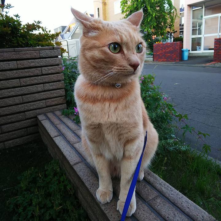 3bbd82e3 1bb4 4d9c 86b9 7c5fd1155cc9 1626343775127