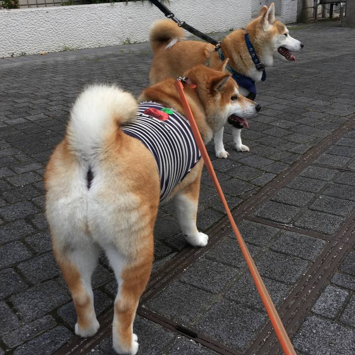 3bbd9e33 089e 4f73 8595 549dffb9c400 1566167921529