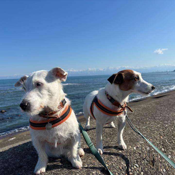 3bbdbcdb fd49 4776 aed6 40d0d95c379c 1766897720217