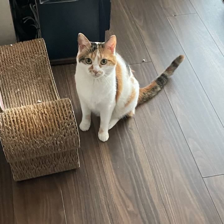 3bbdc020 c367 405c a954 0b2af26fa83c 1655869316268