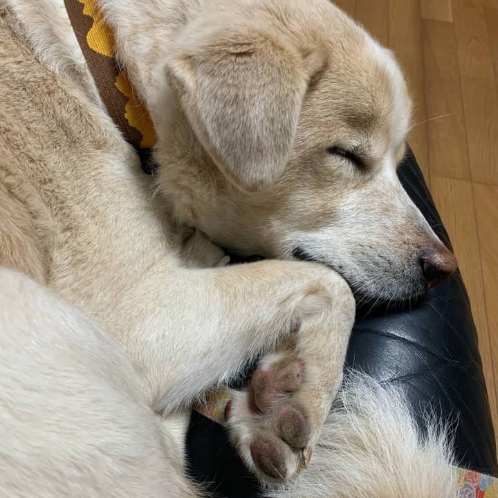 3bbdd78f 9059 4ae2 8200 9368c197d38d 1609414198442