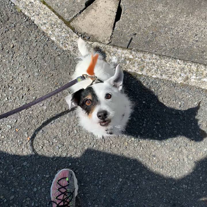 3bbe186b a8b5 44d2 8787 abb7483a42be 1717027572284