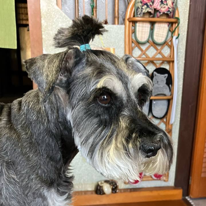 3bbe24d9 f01b 40a5 9793 48b7ddaa6ca9 1719668510008