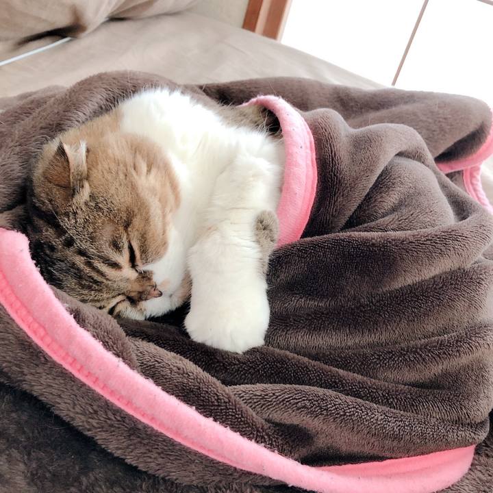 3bbe6698 087b 4feb a686 c7c16c26373e 1586758161688