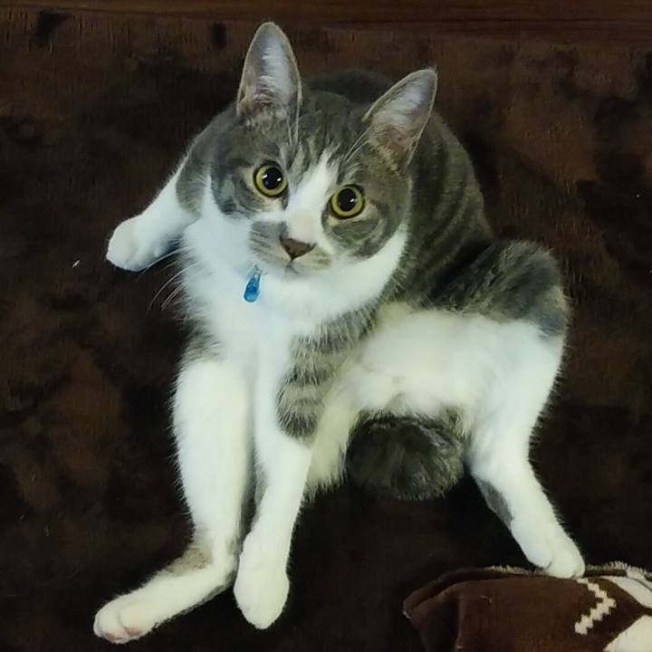 3bbe9778 a7b2 4707 8862 4eac1867530e 1579303120683