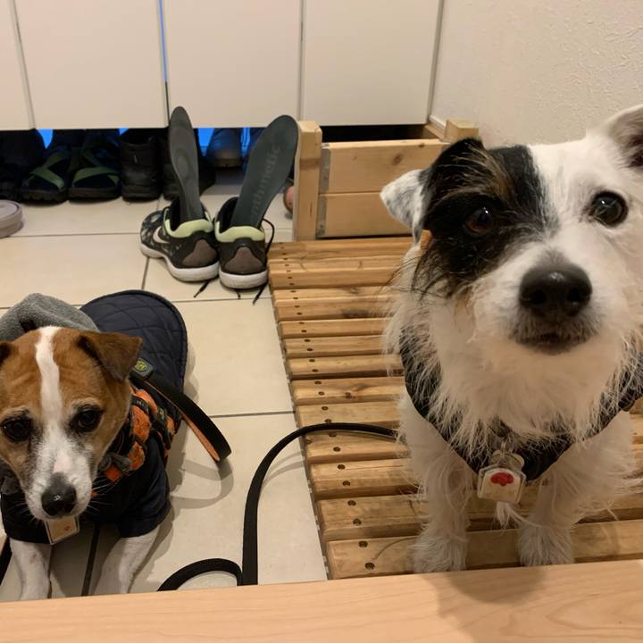 3bbeb789 bb0b 4cd0 9f07 f150d4976e21 1609660171375