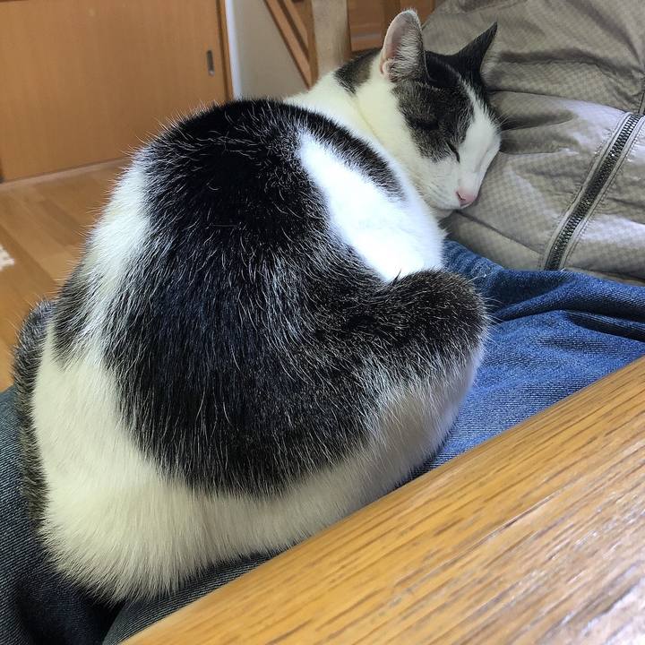 3bbefab7 9d9f 4d4a 80e6 b8959e8dd761 1669292280577