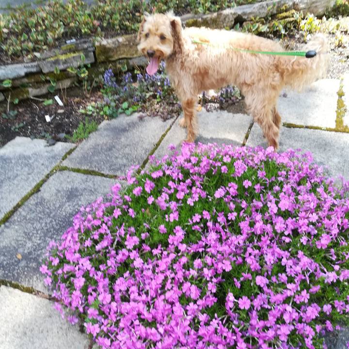 3bbf0ae7 1ed0 4a4e b485 d8b06c5bd342 1559447554734