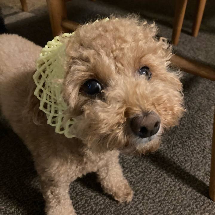 3bbf387e bef7 434e 847e 3674d206b3dc 1633607267905