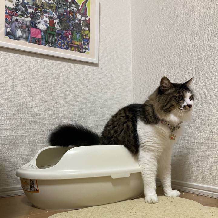 3bbf5532 c4dd 4a66 810e 247444ced8ab 1669320171132