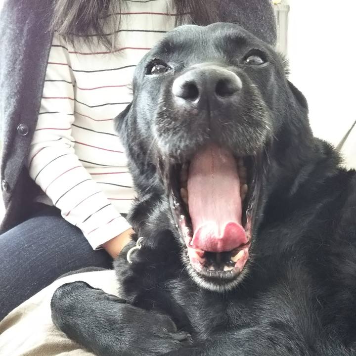 3bbf8834 29bc 4b83 8725 083eac2b33ca 1691806984139