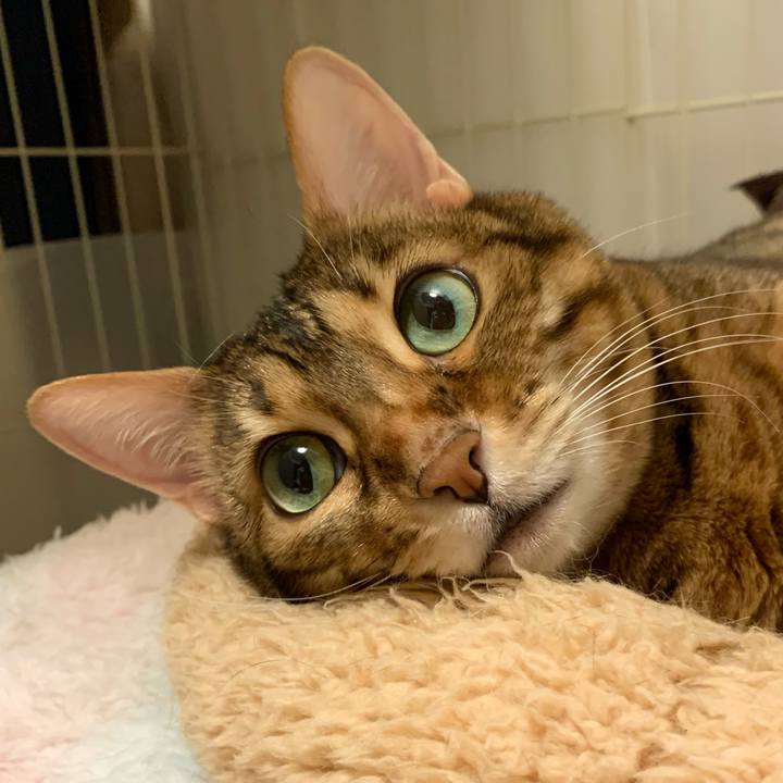 3bc019a8 623b 4d8f 8ccd 57fb3ca29ece 1619479540349