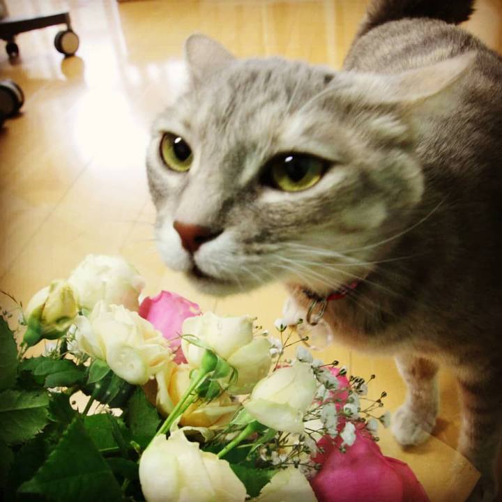 3bc02cac 70c1 428c 8e57 8125e268ea84 1551860748700