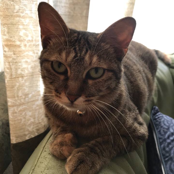 3bc04590 4a5e 4dc5 99e2 d6bf73997e21 1591569226000