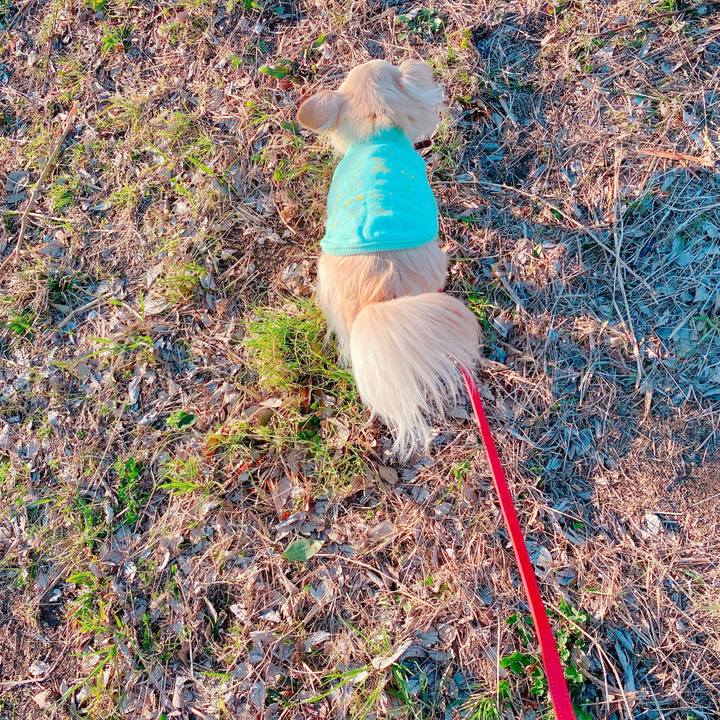 3bc05912 5ef2 438f 92c1 a4f7586b4348 1646568803116