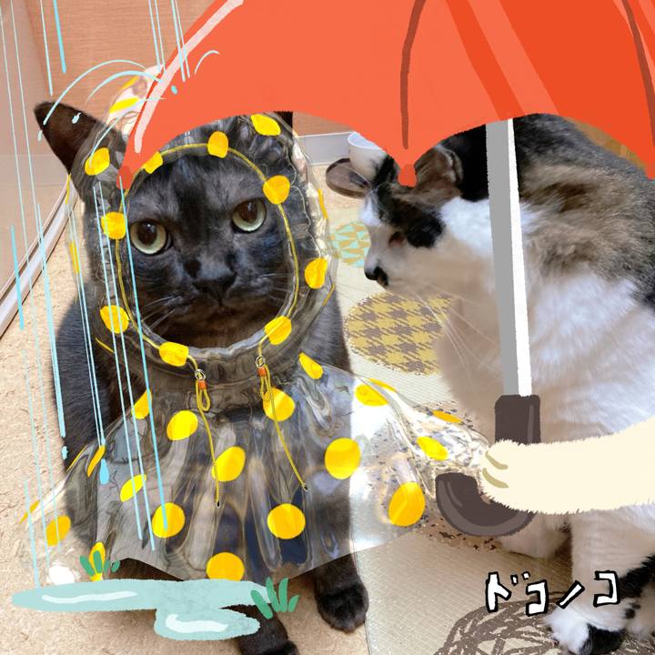 3bc09fc2 54f6 4a8b a3c0 7baef620d3ac 1749092376178