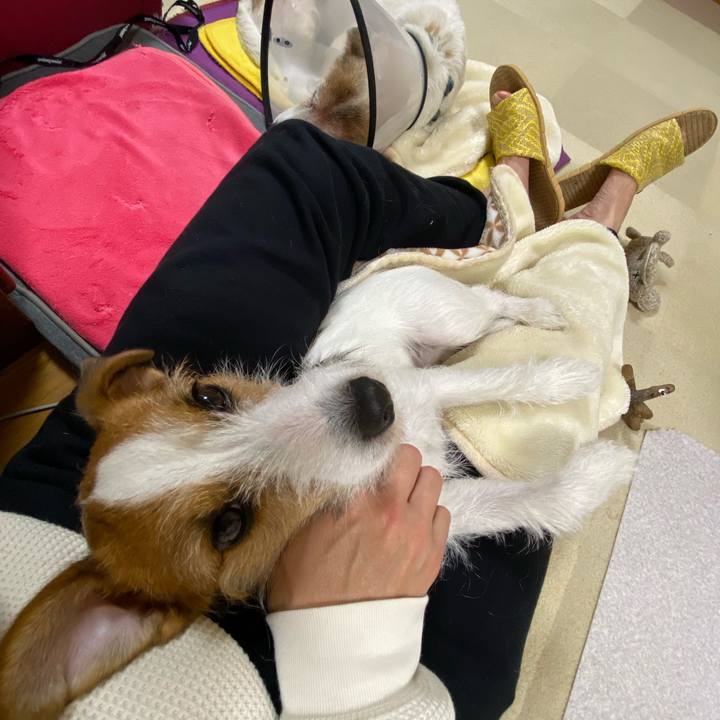 3bc0dbf4 20b7 4b01 b5ab 8a3c2968a63d 1668689721944