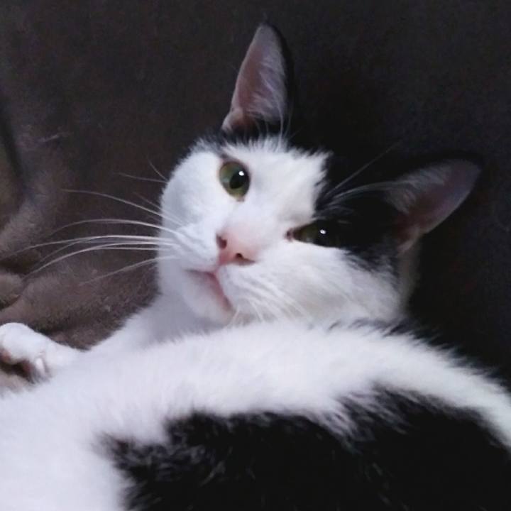 3bc10934 4090 4012 a36d 96ad157ba223 1549372375765