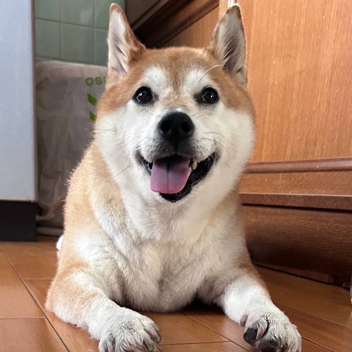 3bc10dc0 32e9 49e5 a588 8b89b73ef946 1724887349874