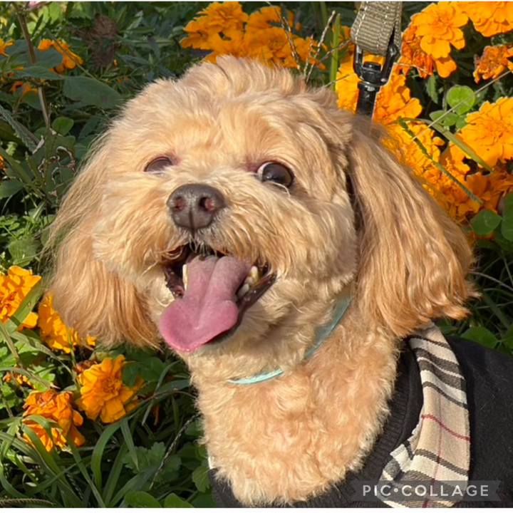 3bc111f7 50b7 4260 928c 5b9da7ea6203 1762120442160