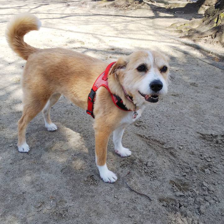 3bc14f0e 1df7 445f 83c1 68e6b2b947c2 1552712834017