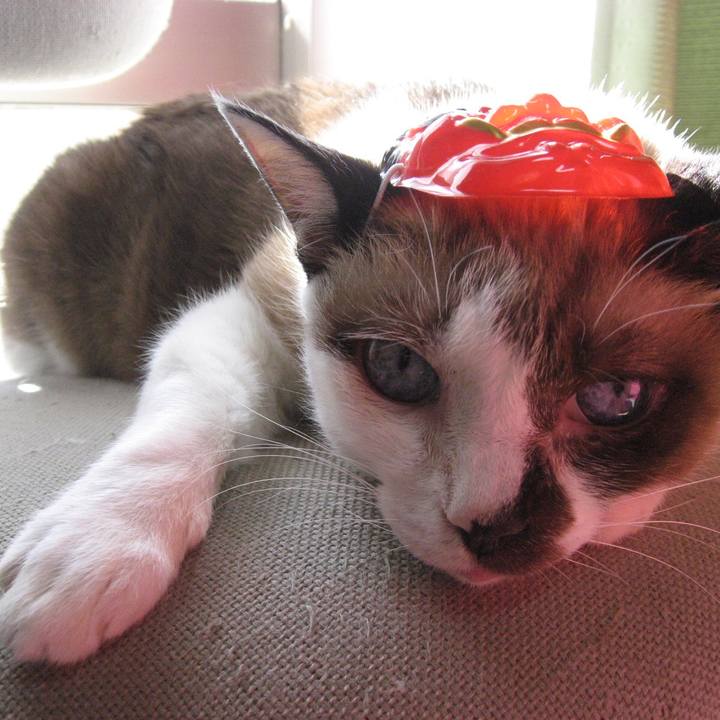 3bc1553a f6fd 42be 89a8 6a6af23acd10 1549255831553