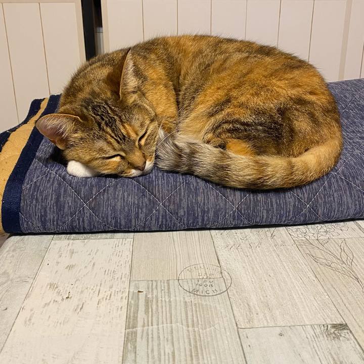 3bc163a2 2098 4053 a873 c90b2f33a37b 1615657172826