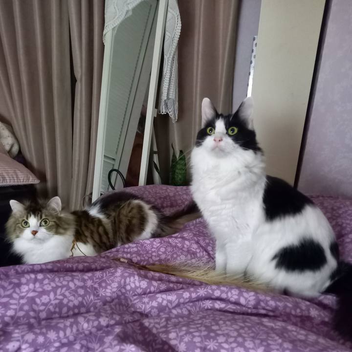 3bc1919b 9009 4d52 9489 04bd28e65d2c 1614156286975