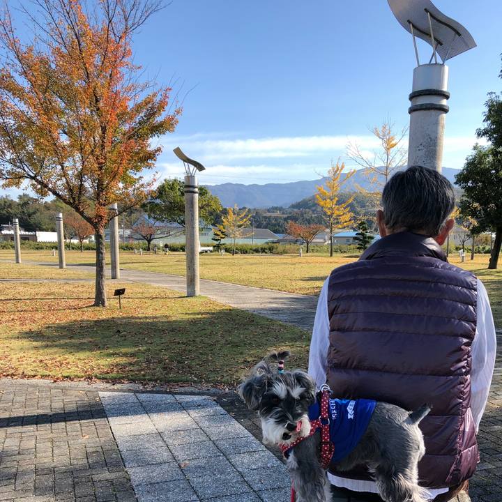 3bc1ee99 29ac 4d5b 812e d99b60e1feeb 1542526868352