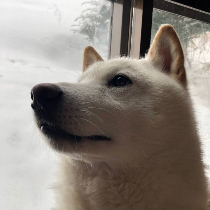 3bc21ff7 74f0 4bc0 b515 fb7d22d77218 1582434364085