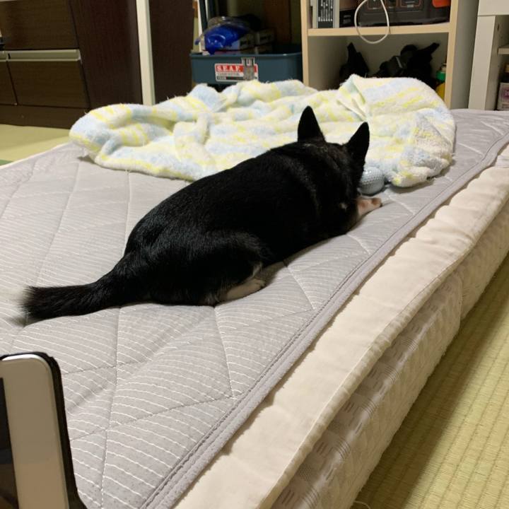 3bc22f92 29f6 45f1 b2d1 15945b62cccc 1660990378980